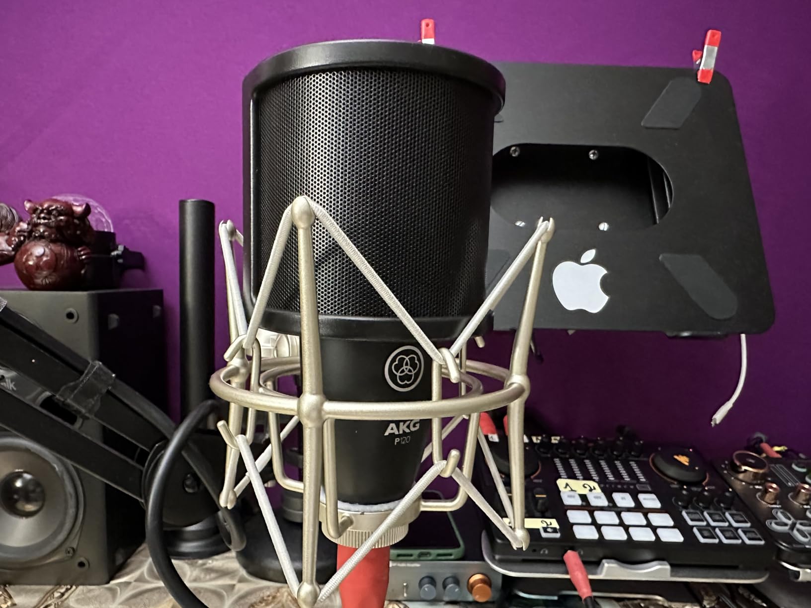 AKG Pro Audio P120 - Affordable 2/3-Inch Diaphragm Condenser Microphone for Clear Vocals & Instruments. Studio Recording or Live. XLR Connector. Black customer photo 1