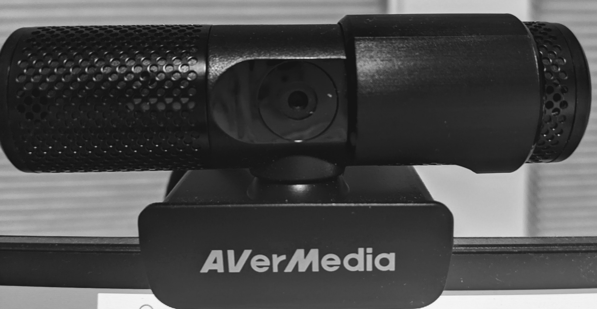 AVerMedia Live Streamer Cam 313 - Full HD 1080P Webcam with Privacy Shutter, Dual Microphone, 360 Degree Swivel for Video Conference - NDAA Compliant (PW313) customer photo 1