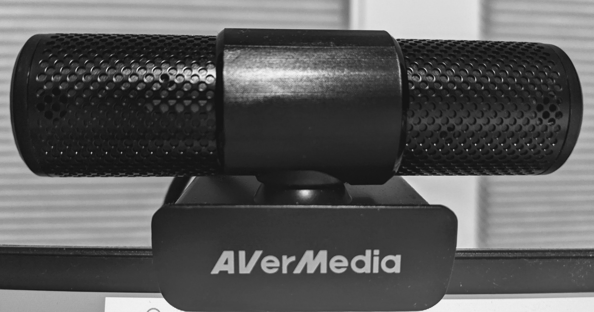 AVerMedia Live Streamer Cam 313 - Full HD 1080P Webcam with Privacy Shutter, Dual Microphone, 360 Degree Swivel for Video Conference - NDAA Compliant (PW313) customer photo 2