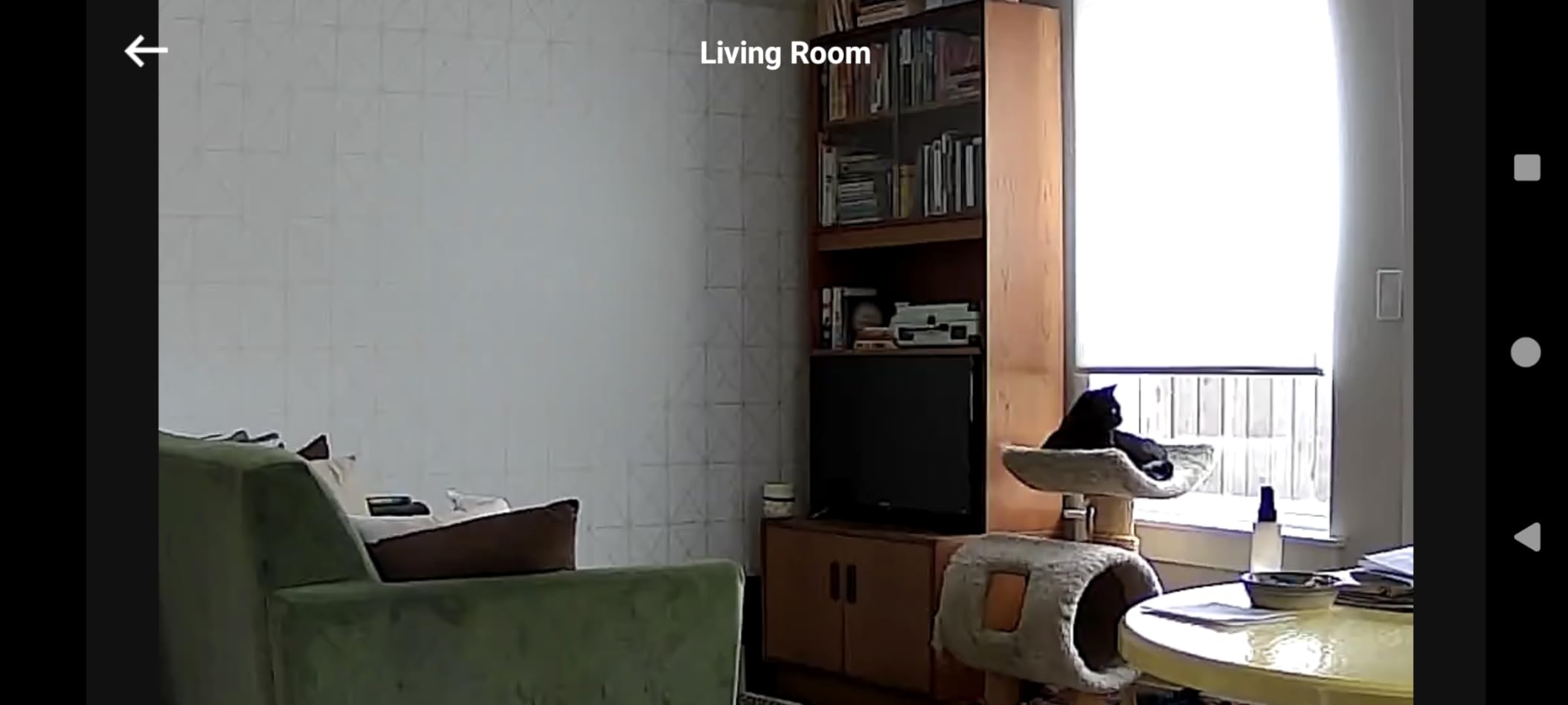 eufy Security Indoor Cam E220, Dog/Pet Camera, Pan and Tilt | 2K Wi-Fi Plug-in, AI Tracking and Alerts, Night Vision, HomeBase 3/Mini/Prof S1 Compatible, Voice Assistant Support customer photo 2