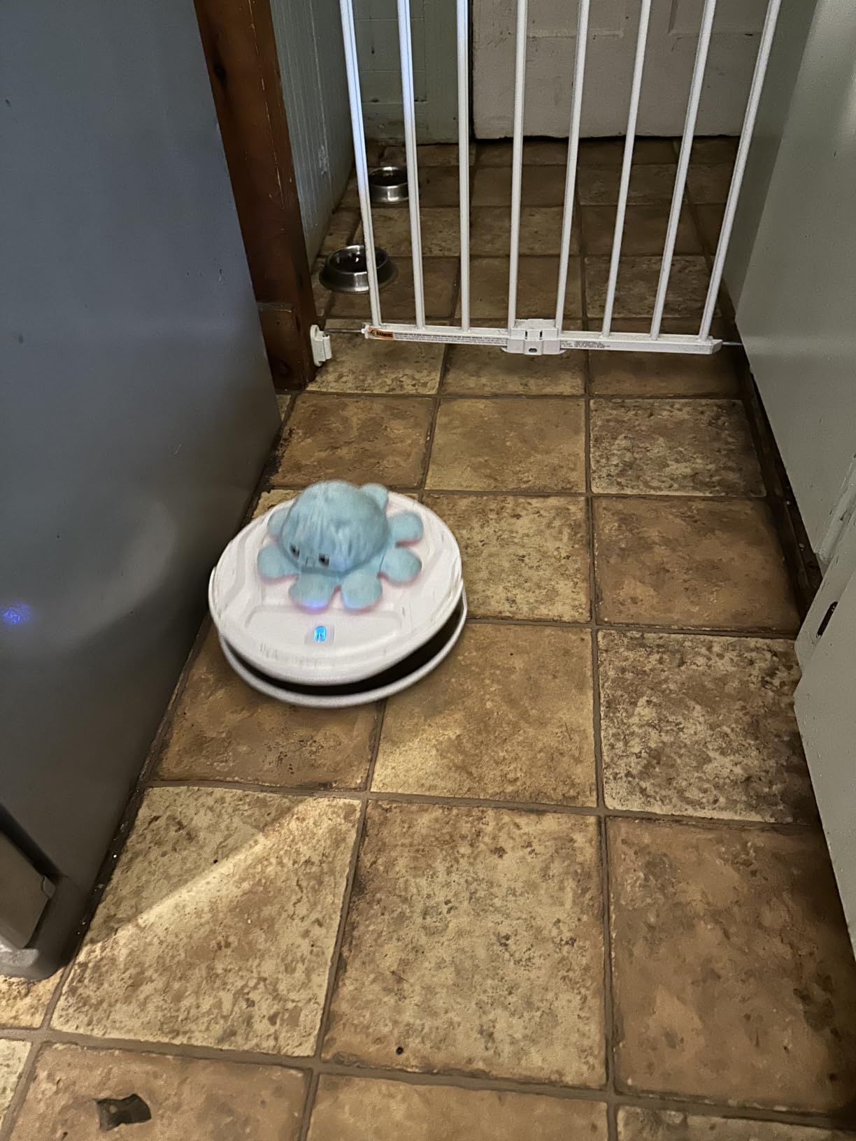 Lefant Robot Vacuum Cleaner, Strong Suction, 120 Mins Runtime, Slim, Low Noise, Automatic Self-Charging, Wi-Fi/App/Alexa Control, Ideal for Pet Hair Hard Floor and Daily Cleaning, M210 customer photo 1
