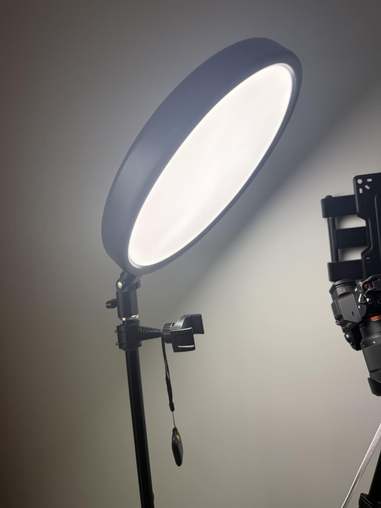 Weilisi Large Ring Light with 79