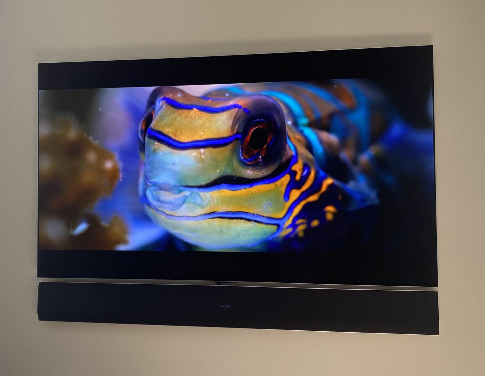 LG SG10TY 3.1-Channel OLED evo G Series TV Matching Soundbar, Dolby Atmos, Wow Orchestra, WOWCAST Built-in with Wireless Dolby Atmos, Rear Speaker Ready, Wireless Subwoofer (2024 Model) customer photo 1