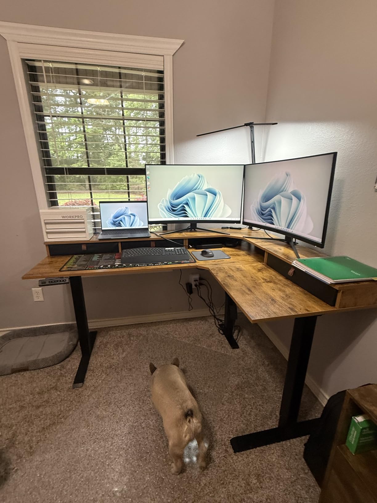 FEZIBO L Shaped Electric Standing Desk, 63x48 inch Large with Drawers, Reversible Tabletop, 2 Memory Height Settings, Black Walnut customer photo 1