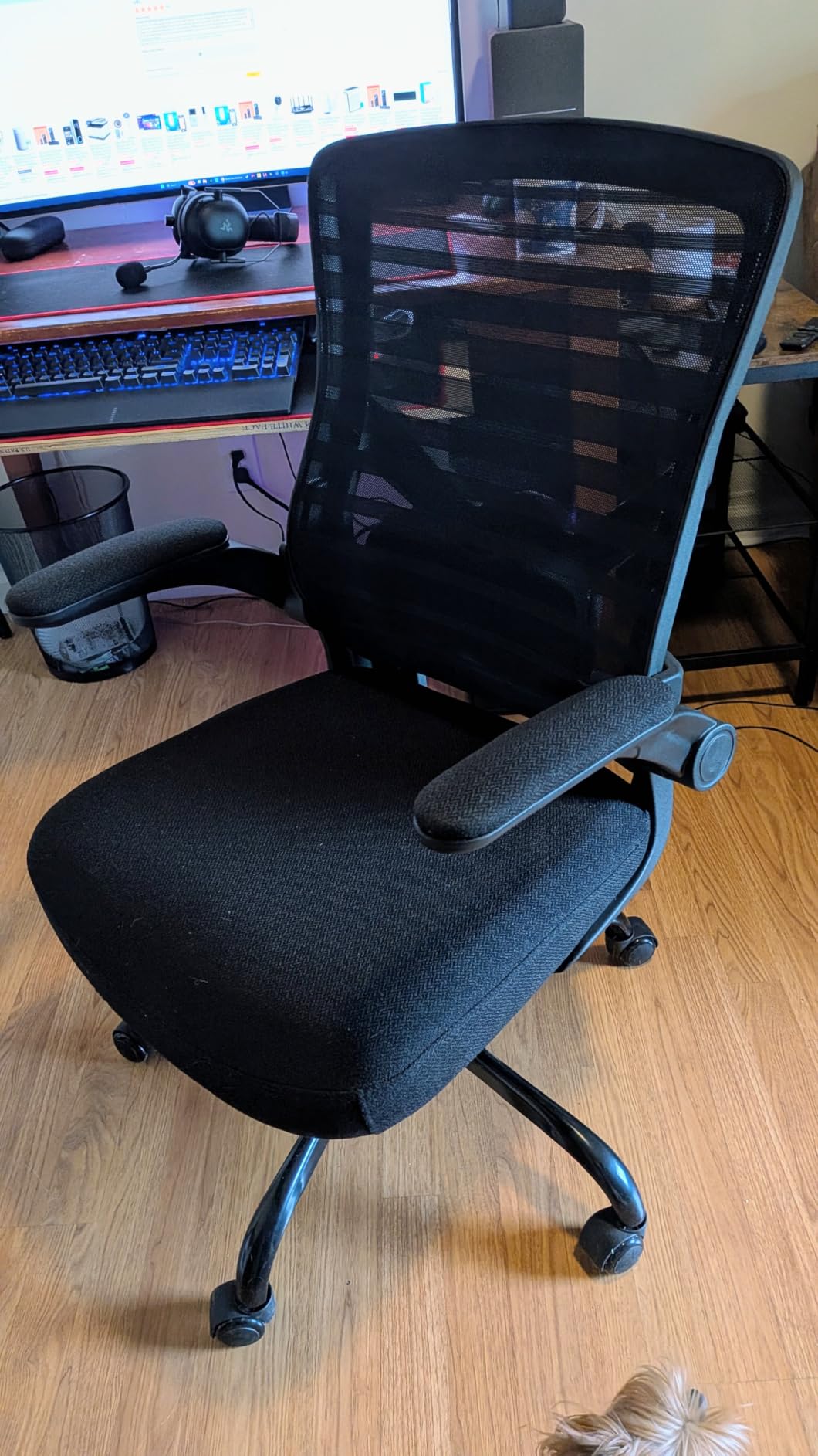 Office Desk Chair for Long Hours & Lower Back Pain Relief - 4