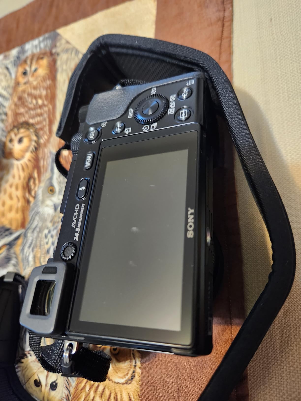 Sony Alpha a6000 Mirrorless Digitial Camera 24.3MP SLR Camera with 3.0-Inch LCD (Black) w/ 16-50mm Power Zoom Lens (Renewed) customer photo 2