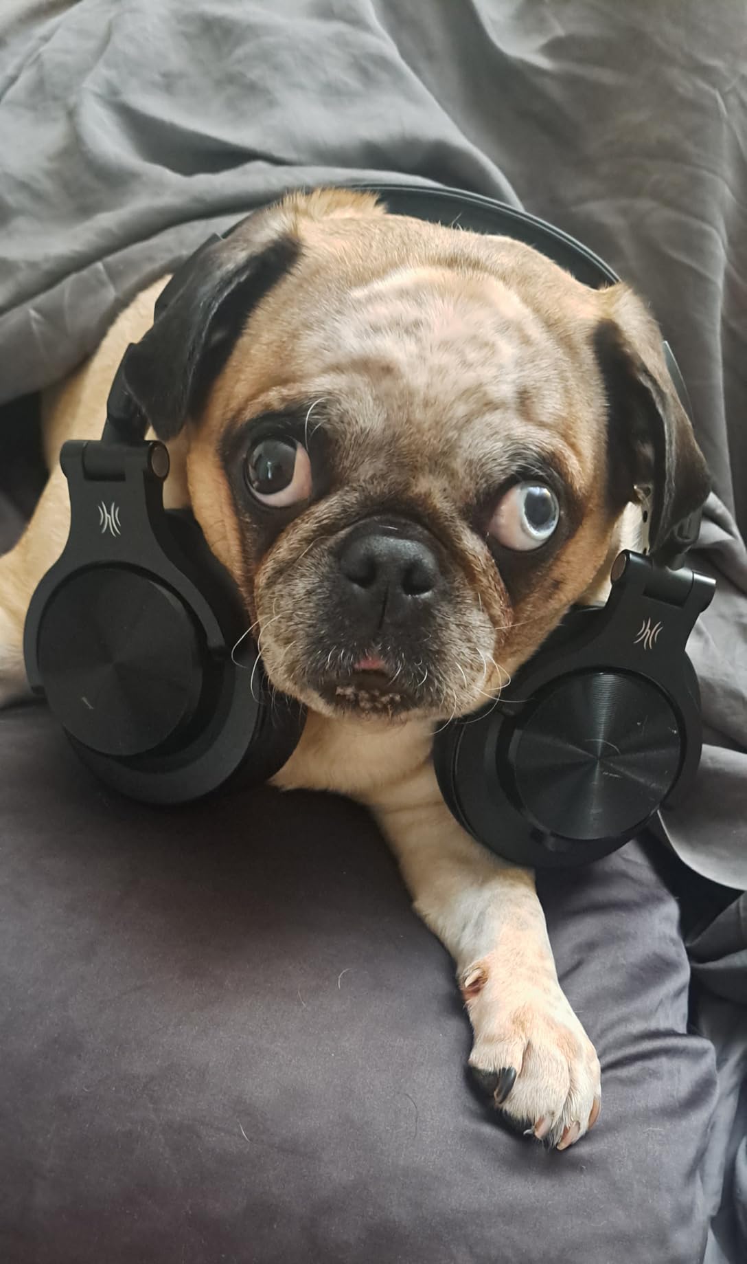 OneOdio A70 Bluetooth Over-Ear Headphones, Hi-Res Wired DJ Studio customer photo 2