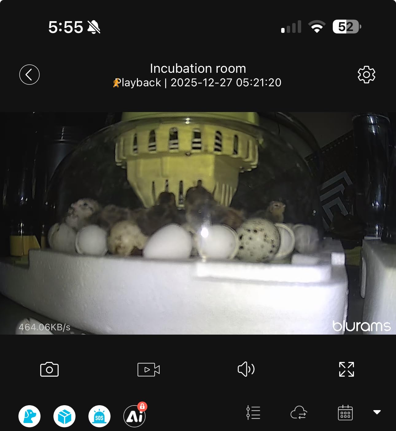 Security Camera 2K, blurams Baby Monitor Dog Camera 360-degree for Home Security w/Smart Motion Tracking, Phone App, IR Night Vision, Siren, Works with Alexa & Google Assistant & IFTTT, 2-Way Audio customer photo 1