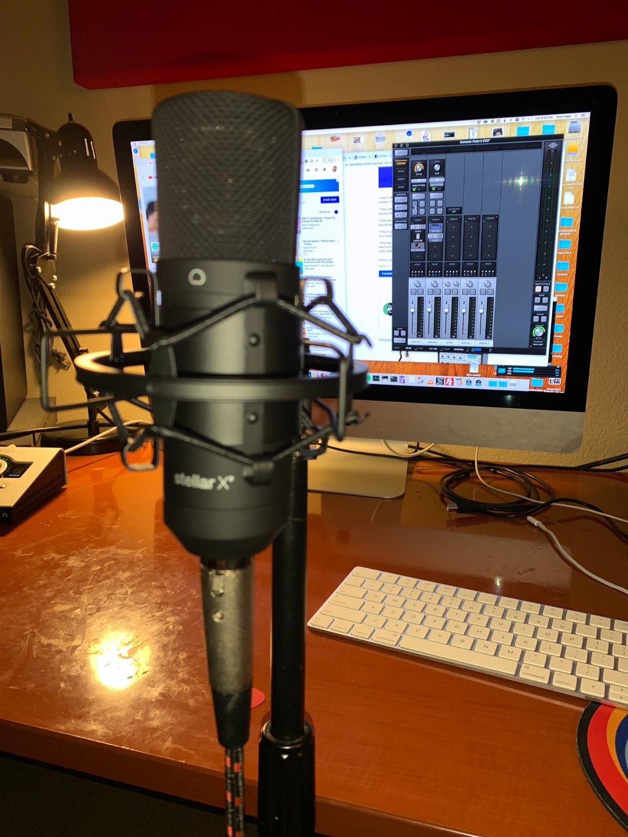 TZ Stellar X2 Large Diaphragm Cardioid Condenser XLR Microphone customer photo 2