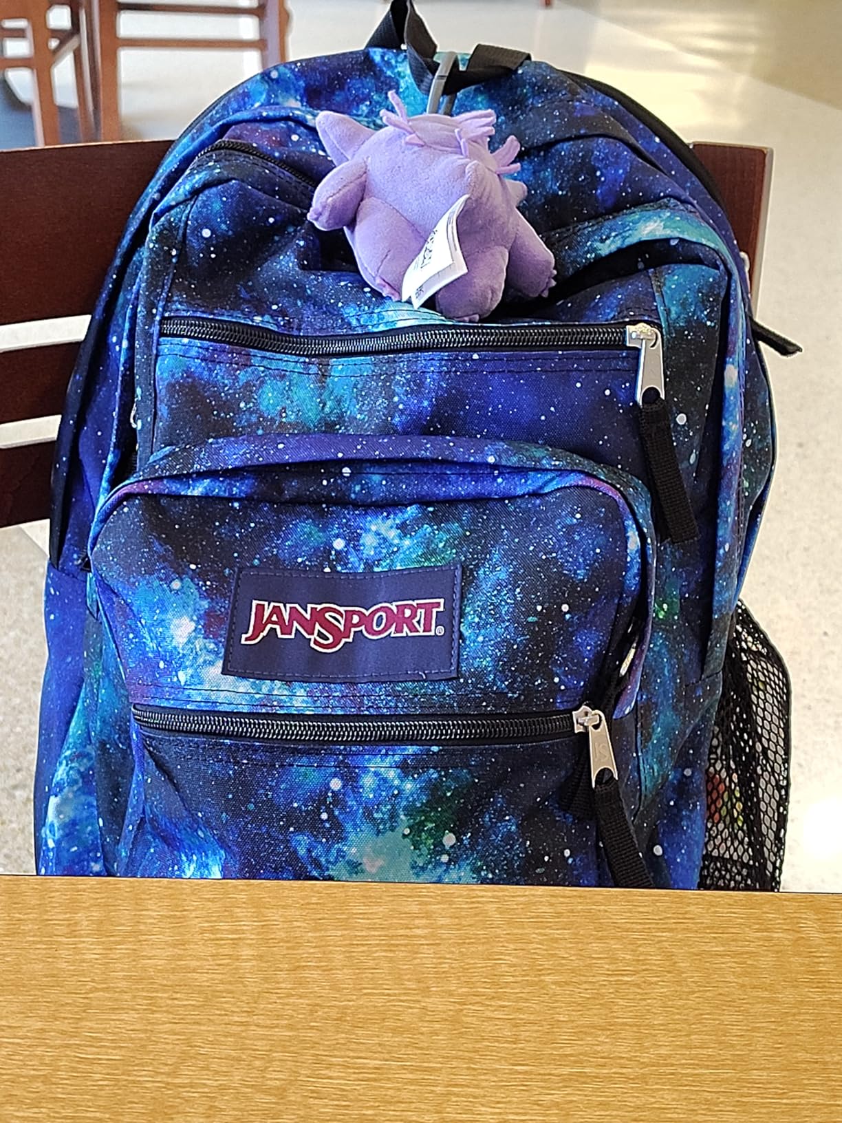 JanSport Laptop Backpack - Computer Bag with 2 Compartments, Ergonomic Shoulder Straps, 15
