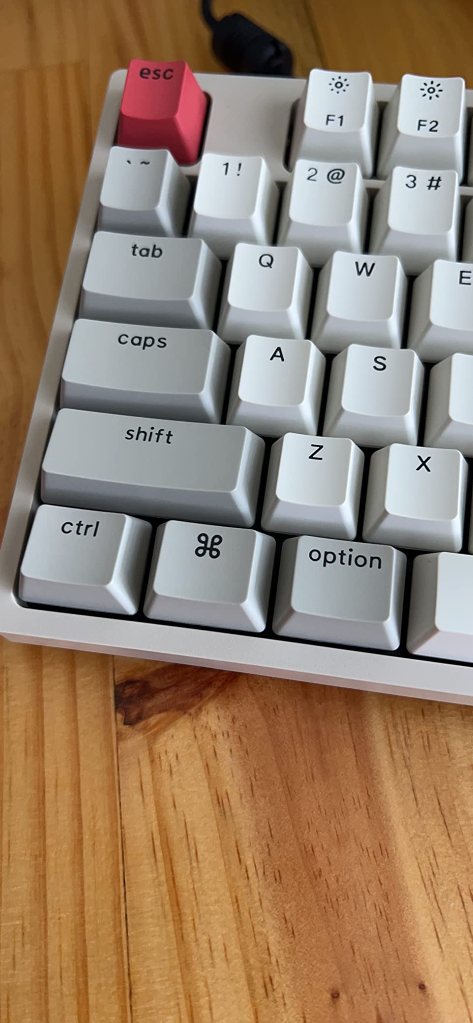 Keychron C2 Full Size Wired Mechanical Keyboard, Brown Switch, Retro | ABS keycaps, USB-C connection, Ergonomic support, Non-backlit design, Compatible with Mac Windows customer photo 1