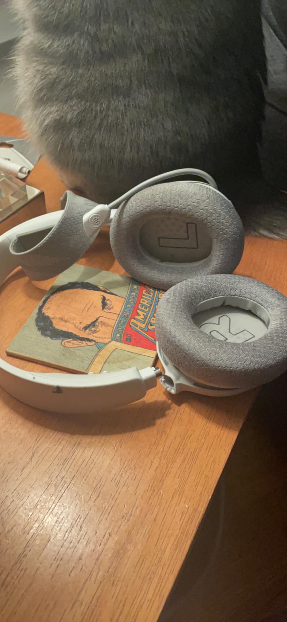 SteelSeries Arctis Nova 1P Multi-System Gaming Headset - White | Hi-Fi Drivers, 360° Spatial Audio, Comfort Design, Durable, Lightweight, Noise-Cancelling Mic, PS5/PS4, PC, Xbox, Switch customer photo 1