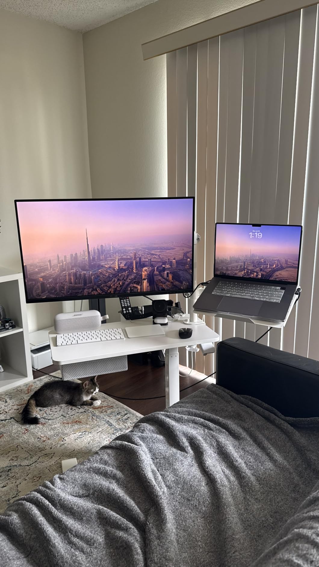 ASUS ProArt PA329CRV 32 Inch 4K DCI-P3 USB-C Professional Monitor for Mac customer photo 1
