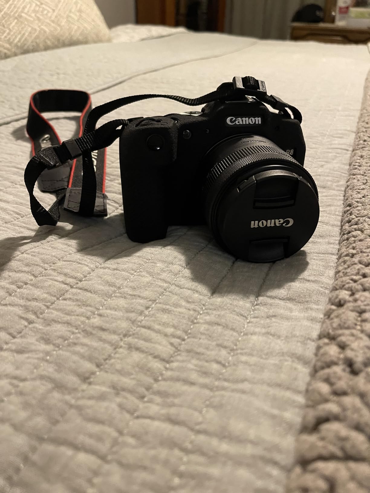 Canon EOS R8 Mirrorless Camera with RF 24-50mm f/4.5-6.3 is STM Lens customer photo 1