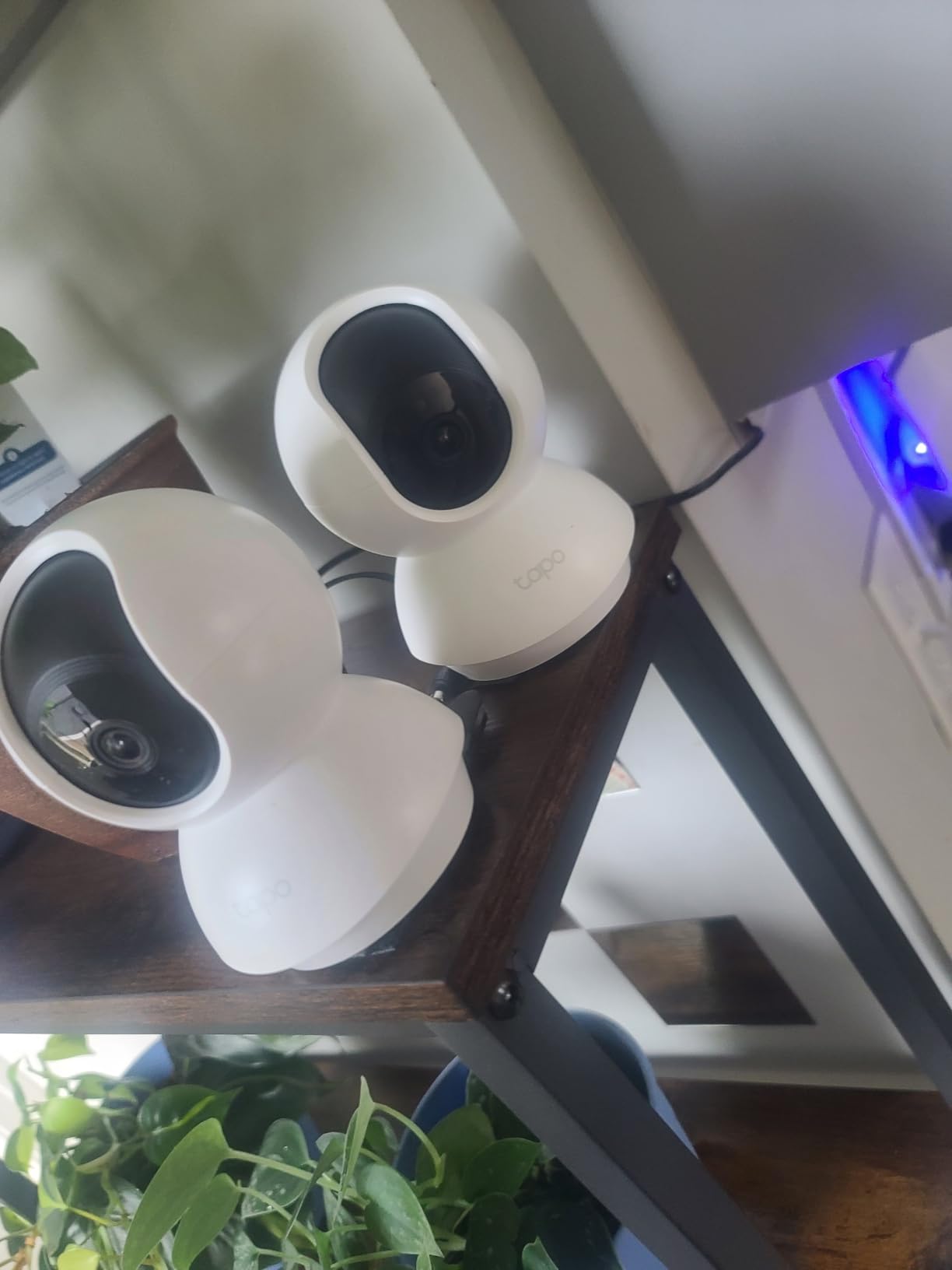 Tapo Smart Hub with Built-in Chime, REQUIRES 2.4GHz Wi-Fi, Reliable Long-Range Connections with Tapo Sensors, Sub-1G Low-Power Wireless protocol, Connect up to 64 smart devices (H100) customer photo 2