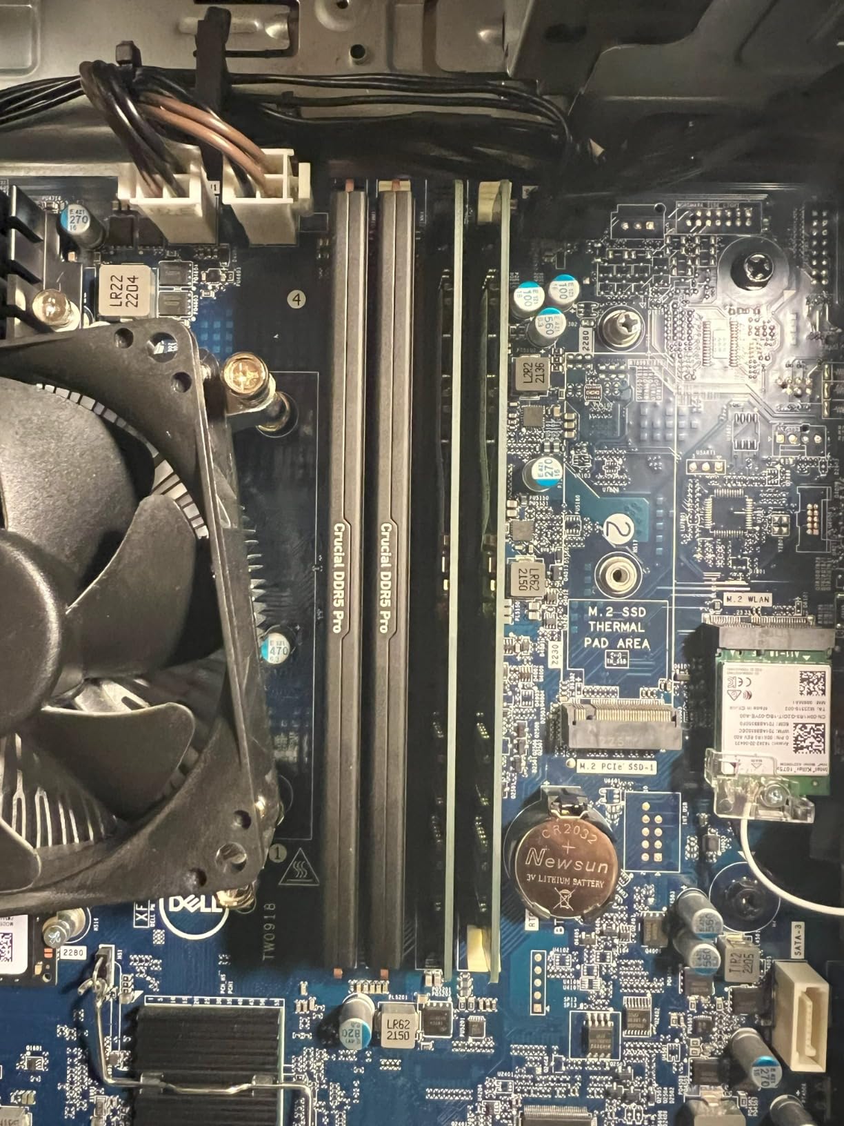 Crucial Pro 64GB DDR5 RAM Kit (2x32GB) 5600MHz Desktop Memory UDIMM 288-pin - CP2K32G56C46U5 customer photo 2