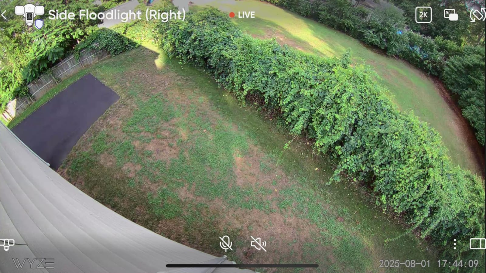 WYZE Floodlight Camera v2, Security Camera Outdoor, 2K HD with Color Night Vision, 2800-Lumen LEDs, 160° Wide View, 105dB Siren, Works with Alexa & Google Assistant, Wired, Free Expert Support customer photo 1