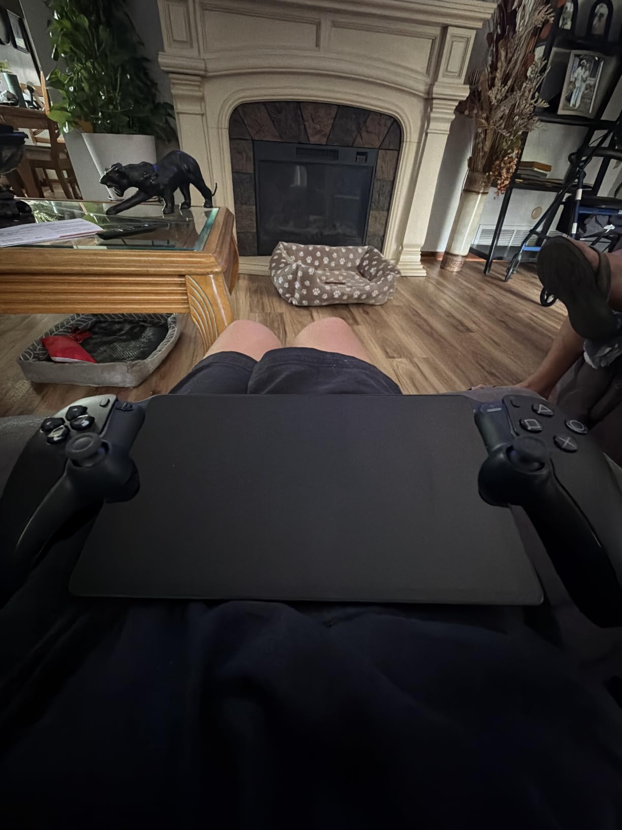 PlayStation 5 Portal Remote Player customer photo 1