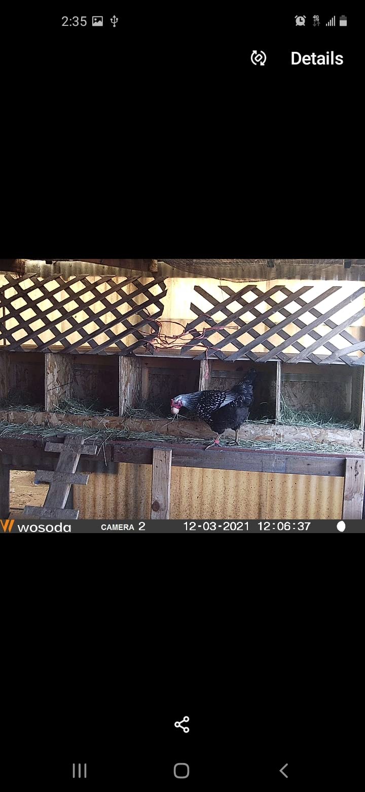 WOSODA Mini Trail Camera 4 Pack 30MP 1080P HD, Game Cam with SD Card, Waterproof Tiny Deer Camera Night Vision Motion Activated with Fast Trigger Time for Outdoor Wildlife Monitoring customer photo 1