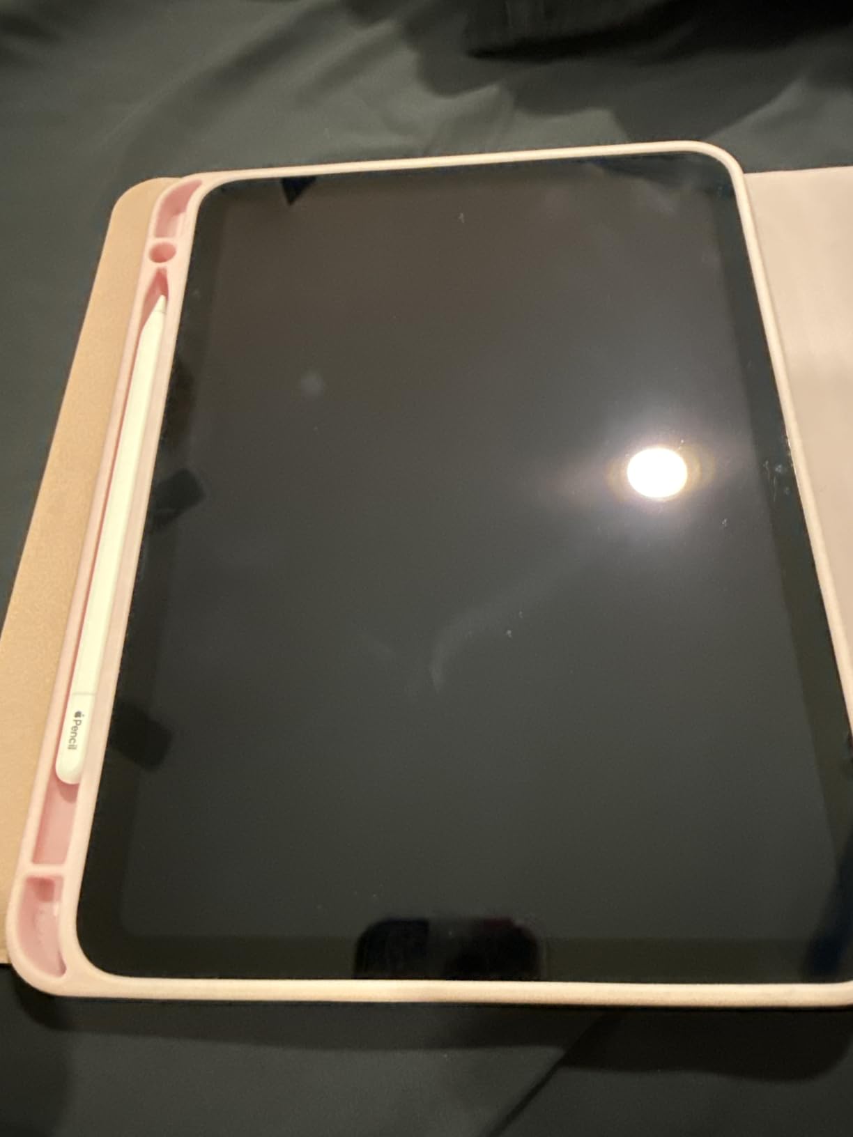 Apple Pencil (USB-C): Device Compatibility Check Required | Pixel-Perfect Precision, Tilt Sensitivity, Perfect for Note-Taking, Drawing, & Signing Documents. Charges and Pairs w/ USB-C customer photo 1