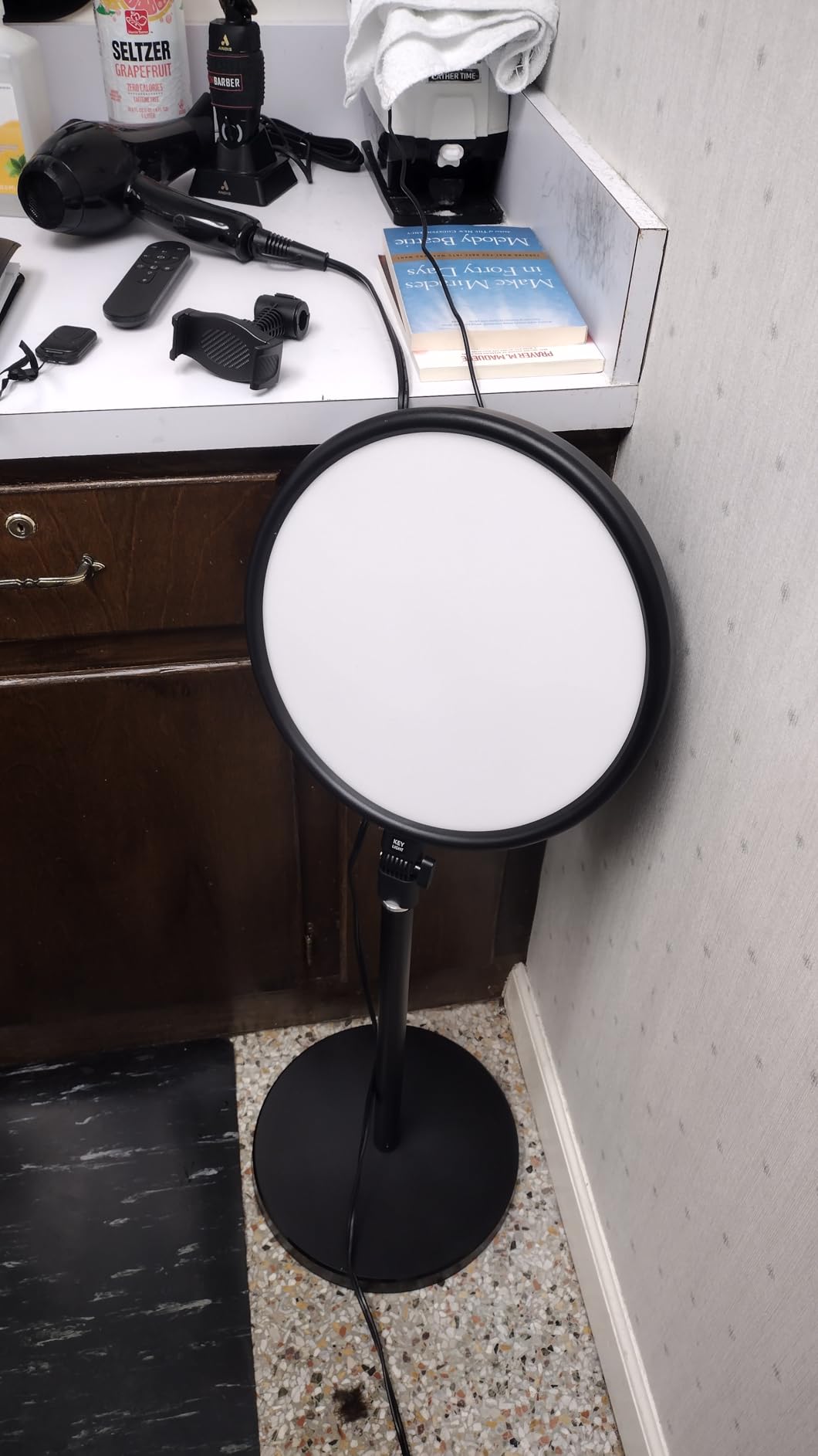 TODI Large Ring Light with 79