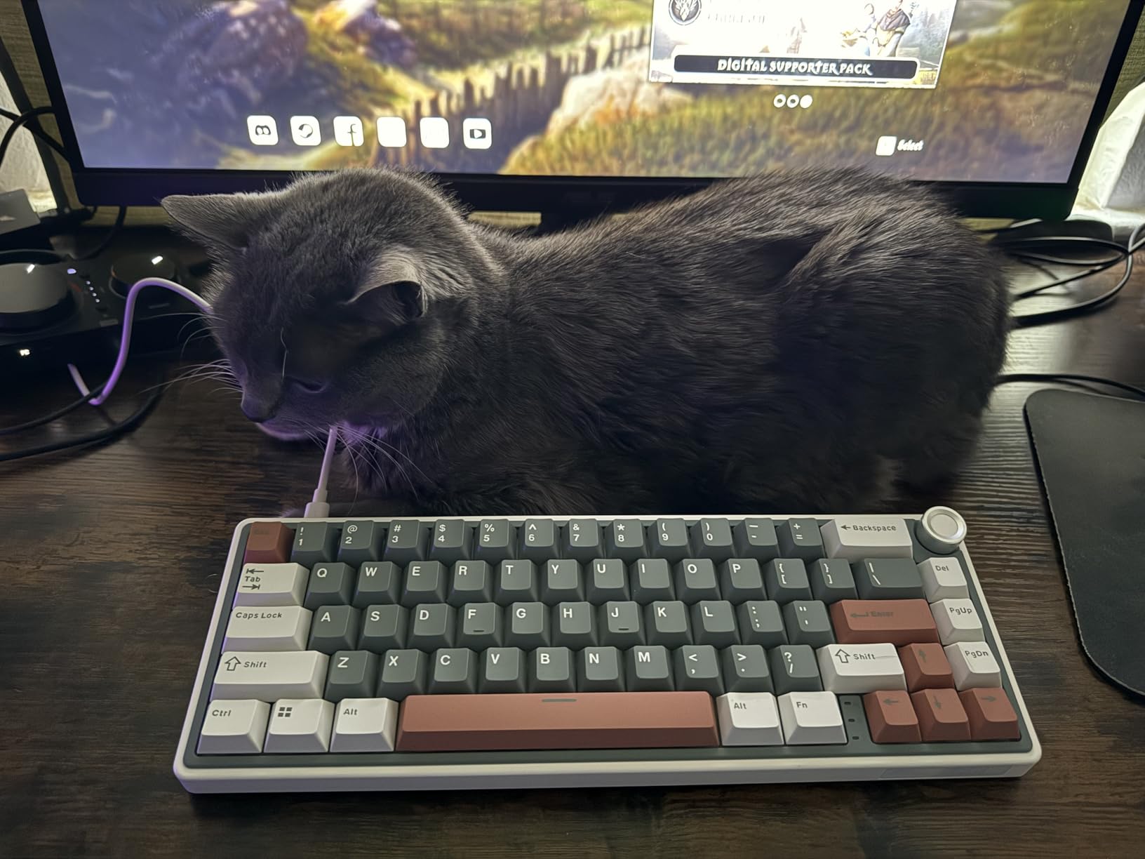 RK ROYAL KLUDGE R65 Wireless Mechanical Keyboard, 60% Keyboard with Knob | 60% RGB Gaming Keyboard with QMK/VIA, 3-Mode 2.4G/BT/Wired, Hot Swappable PCB, PBT Keycaps, 66 Keys, Cream Switch, Blue customer photo 1