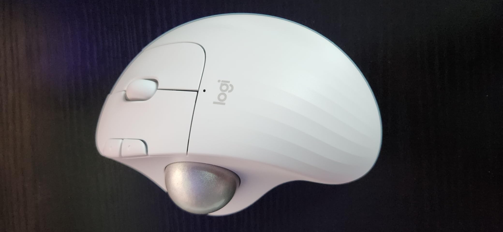 Logitech Ergo M575S Wireless Bluetooth Trackball Mouse - Black Silver Ball customer photo 2