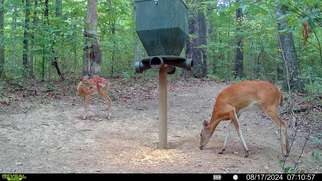 TACTACAM Reveal X Gen 3.0 Cellular Trail Camera - Multi Carrier, HD Photos & Videos, Pre-Installed Antenna, Built-in GPS, Best Battery Life, Low-Glow, Fast Trigger Speed + Cleaning Cloth | 2PK customer photo 1