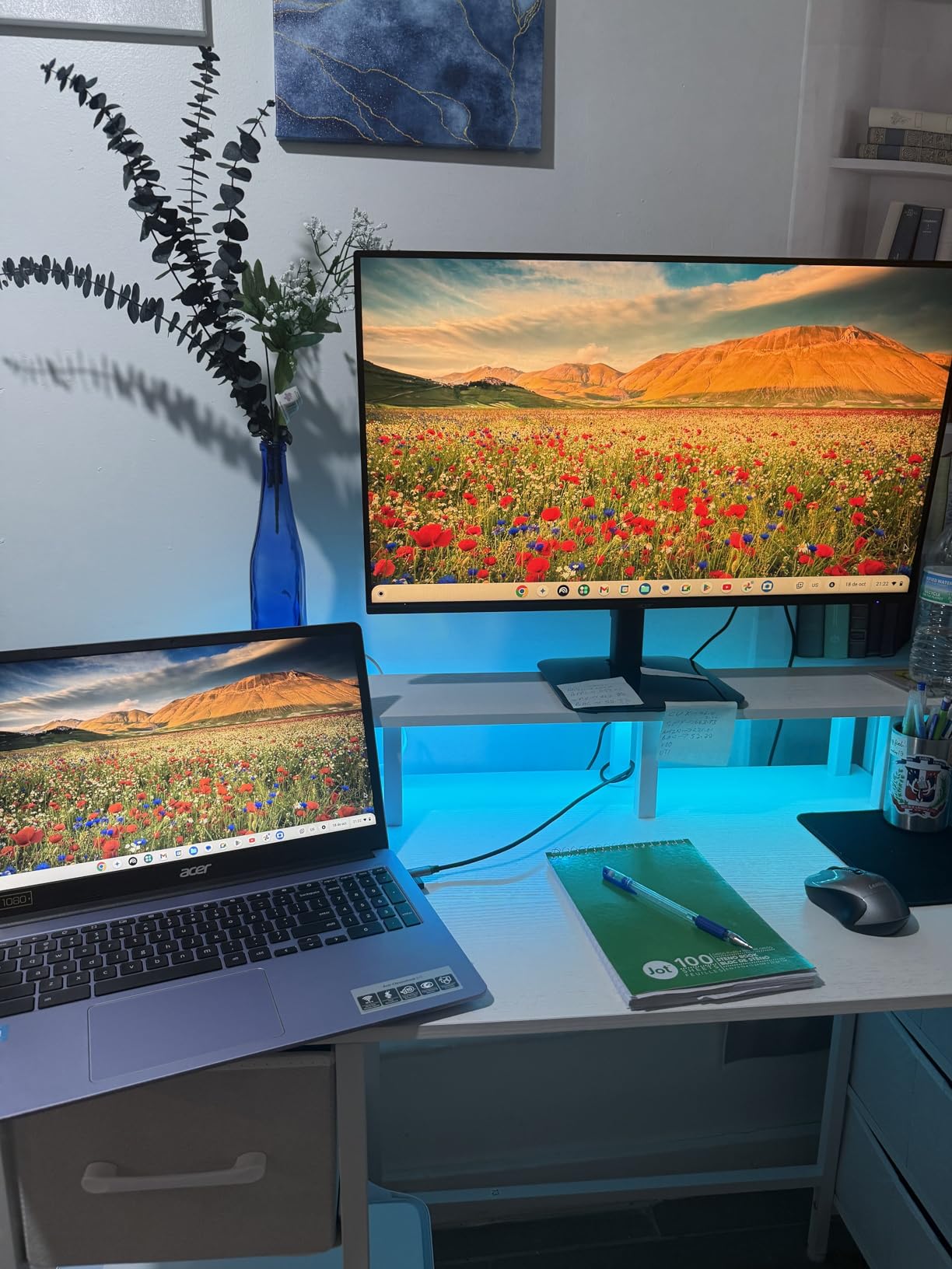 Acer 27in FHD 1920x1080 IPS 120Hz Office Monitor KB272 G0bi | 1ms, AdaptiveSync (FreeSync Compatible), sRGB 99%, HDMI, VGA, VESA Mountable, Bluelight Filter, Flickerless Technology customer photo 2