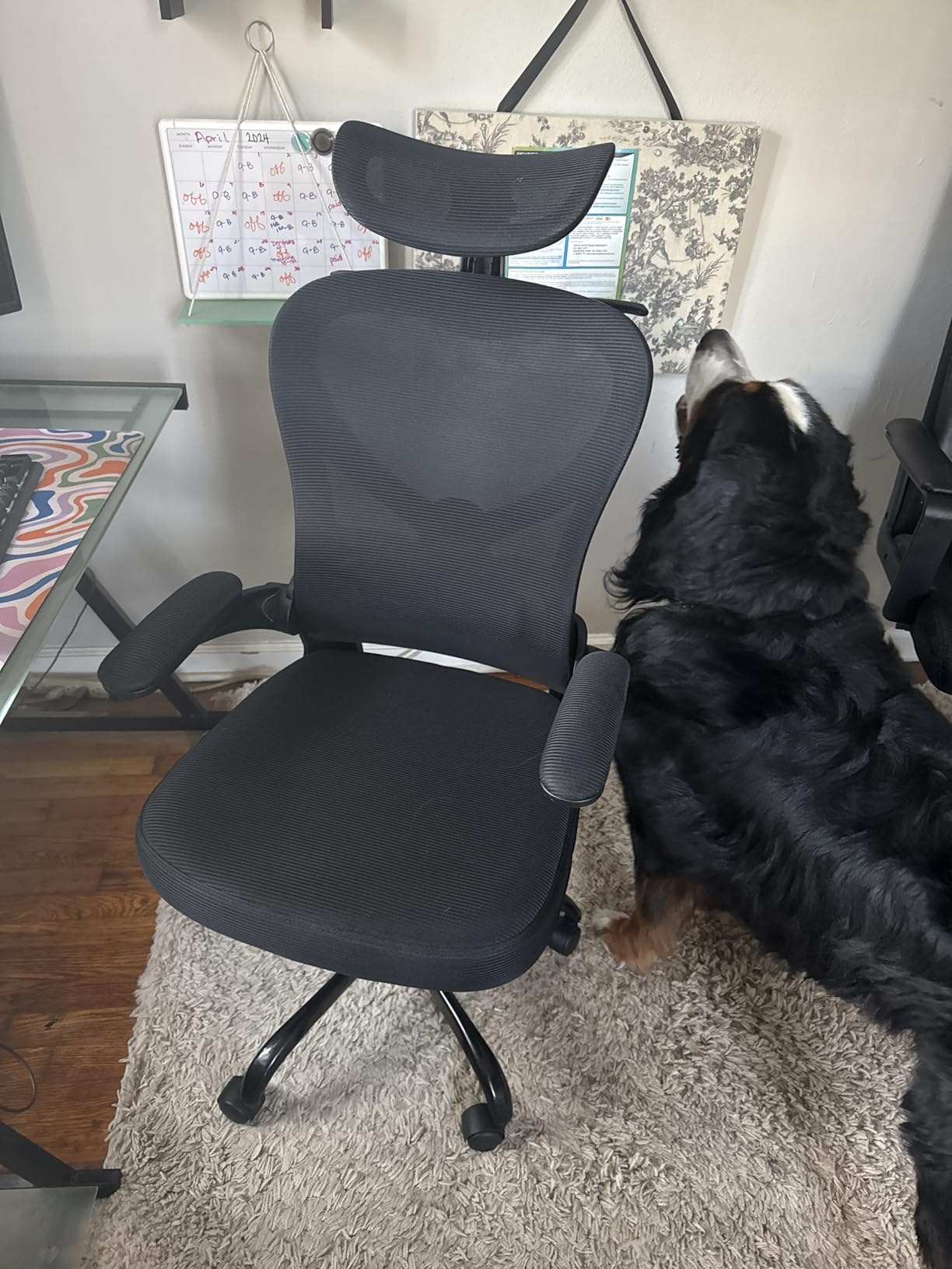 Ergonomic Office Chair, Mesh Home Office Desk Chairs with 3D Headrest | Freepub Computer Gaming Chair whit Adjustable High Back Lumbar Support, Executive Swivel chairs, 350LBS Capacity, Black customer photo 2