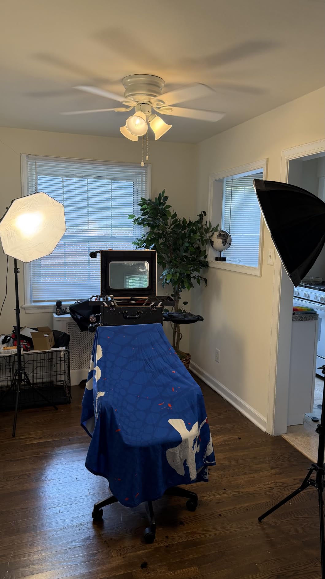 Softbox Photography Lighting Kit, 20'' x 20'' Professional Softbox Lighting Kit with 85W 3000-7500K LED Bulbs, Studio Lights for Photography/Video Recording/Portraits Shooting/Live Streaming customer photo 1