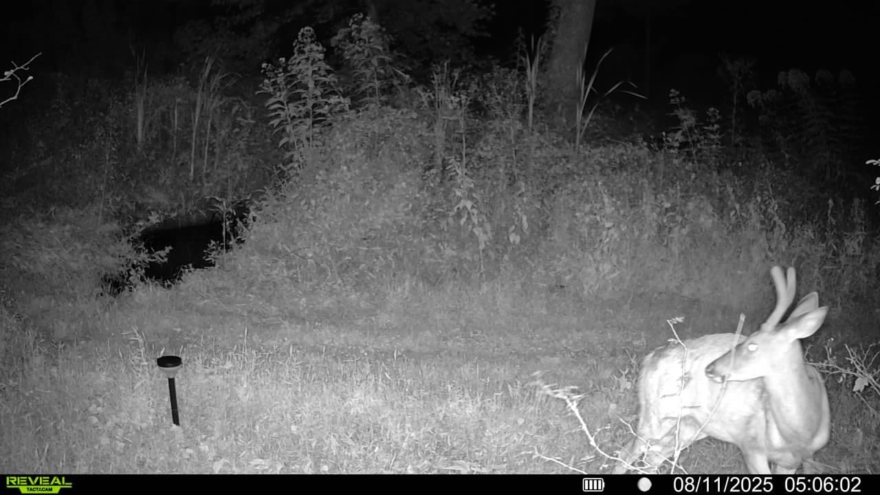 TACTACAM Reveal Ultra Cellular Trail Camera: 4K Photo, 1080p Video, Live View, GPS Tracking-Enabled, Switchable No-Glow/Low-Glow Flash, LTE Connectivity, LCD Screen customer photo 1