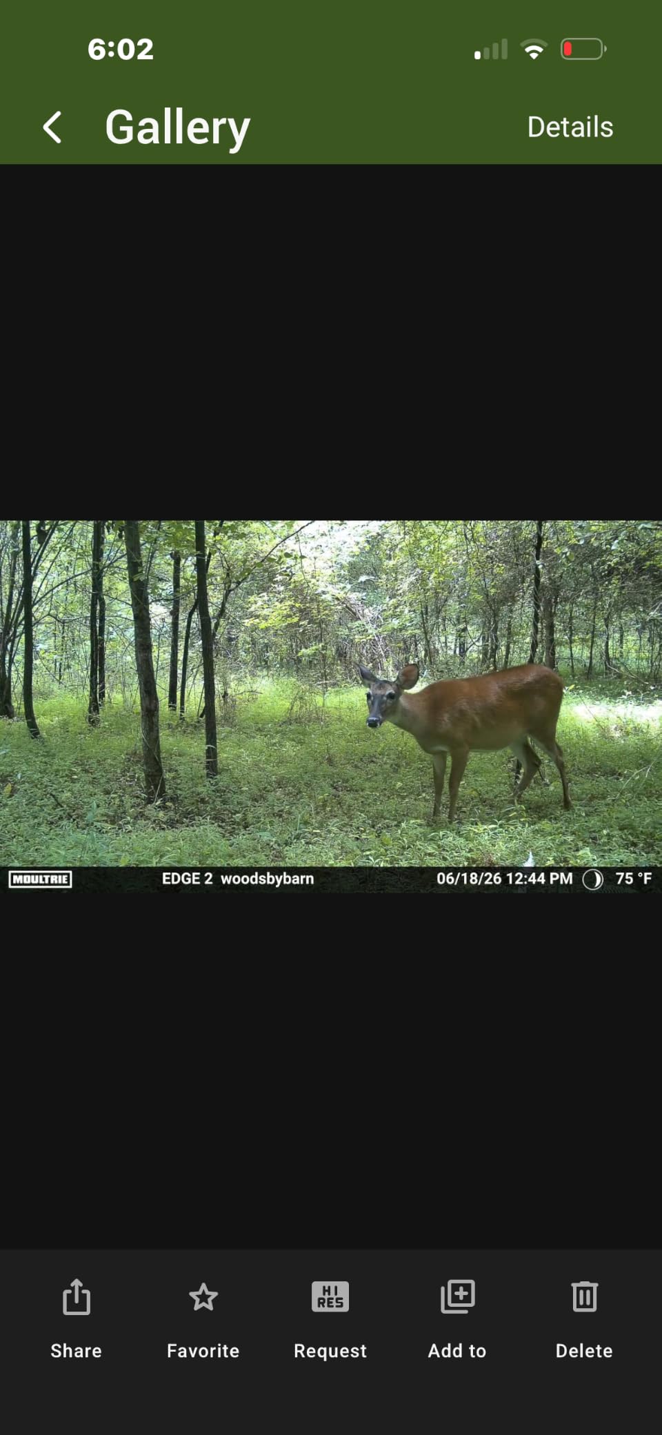 Moultrie Edge 3 Cellular Trail Camera - 2-Pack, 40MP, 0.5s Trigger | Scout from Anywhere, HD photos via Mobile app, 1080p video, multi-carrier, low-glow flash, GPS, Two Pack customer photo 1