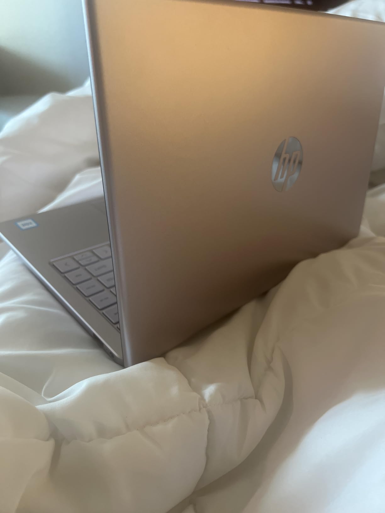 HP 14-inch Ultra Light Laptop W/1 Year Office 365&AI-Copilot, Intel Processor N150, 16GB RAM, 416GB Storage (128GB UFS + 288GB Docking Set), HD Camera, Long Battery Life, Wi-Fi 6, Win 11s, Green customer photo 1