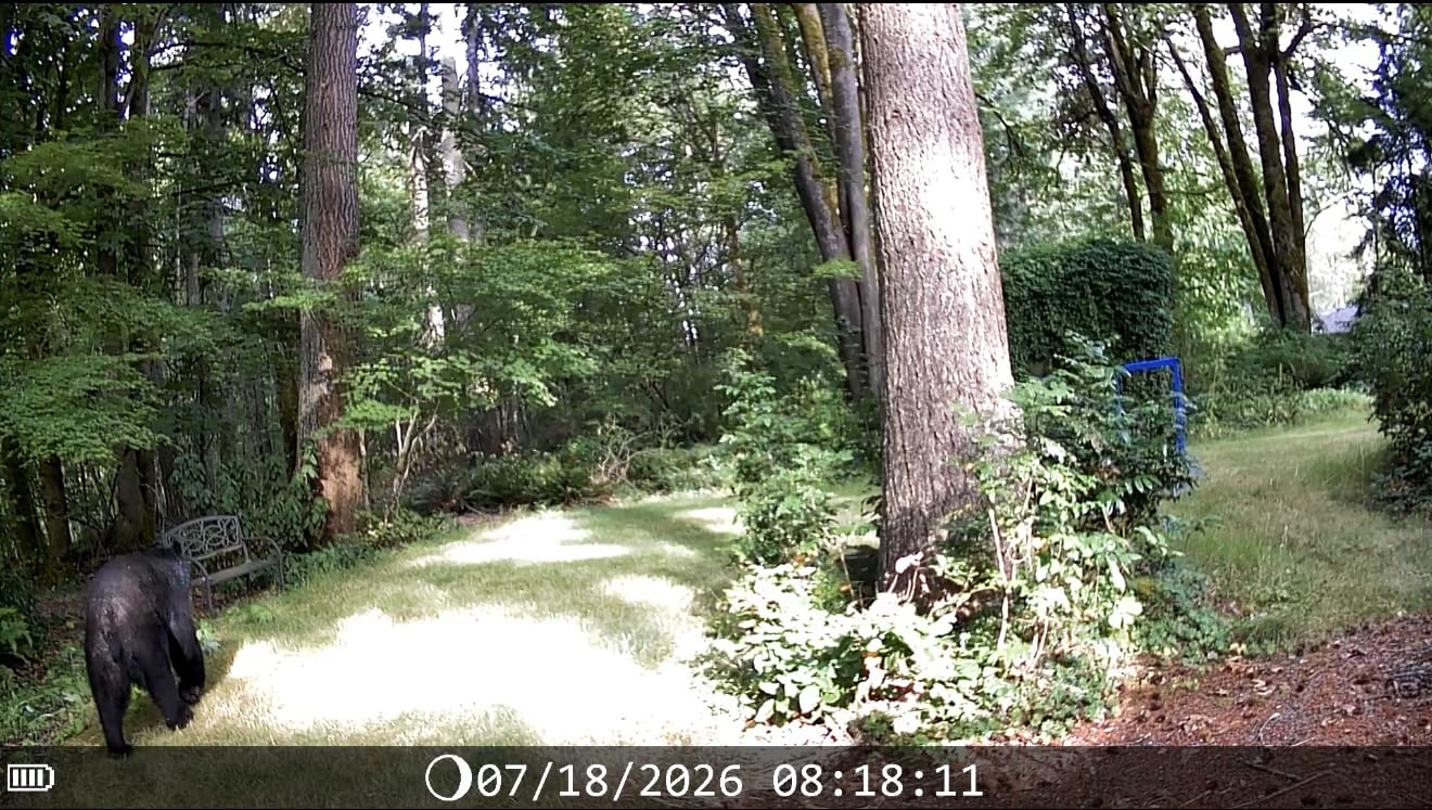 DEATTI 4K 48MP Trail Camera WiFi Bluetooth Connection, Game Camera with 0.1s Trigger Time, Night Vision Motion Activated Wildlife Camera with 8 Batteries, 32 GB SD Card, IP66 Waterproof for Deer Outdoor customer photo 2