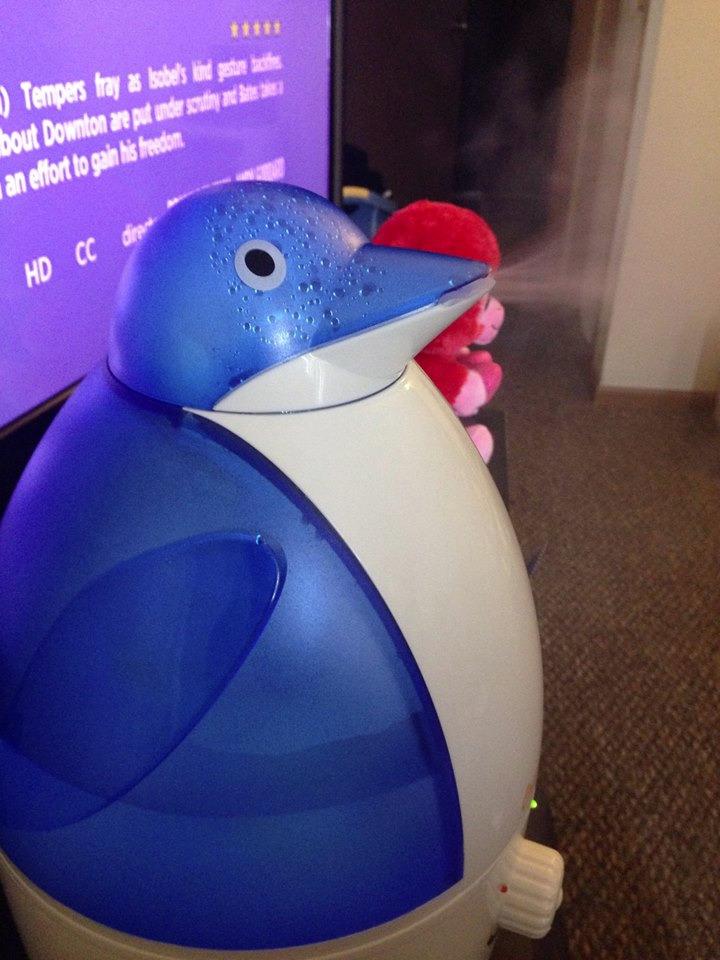 Crane Ultrasonic Cool Mist Animal Humidifier for Kids Bedroom and Nursery, 1 Gallon Easy Clean, Adjustable Settings, Frog Humidifier customer photo 1