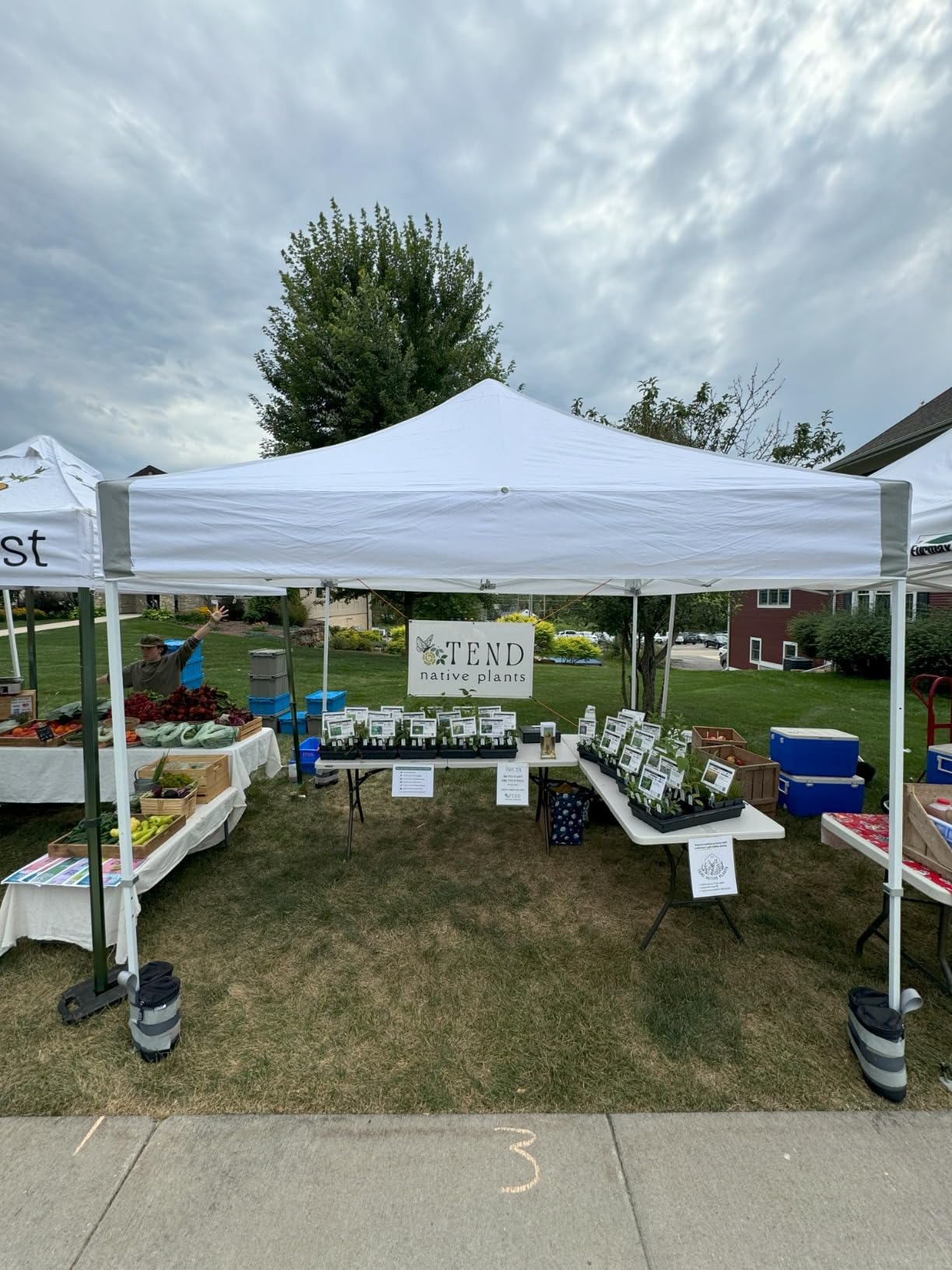 E-Z UP ES100S Instant Commercial Pop Up Canopy Tent, 10' x 10' with 3 Sidewalls, 1 Mid-Zip Sidewall and Wide-Trax Roller Bag, White customer photo 2