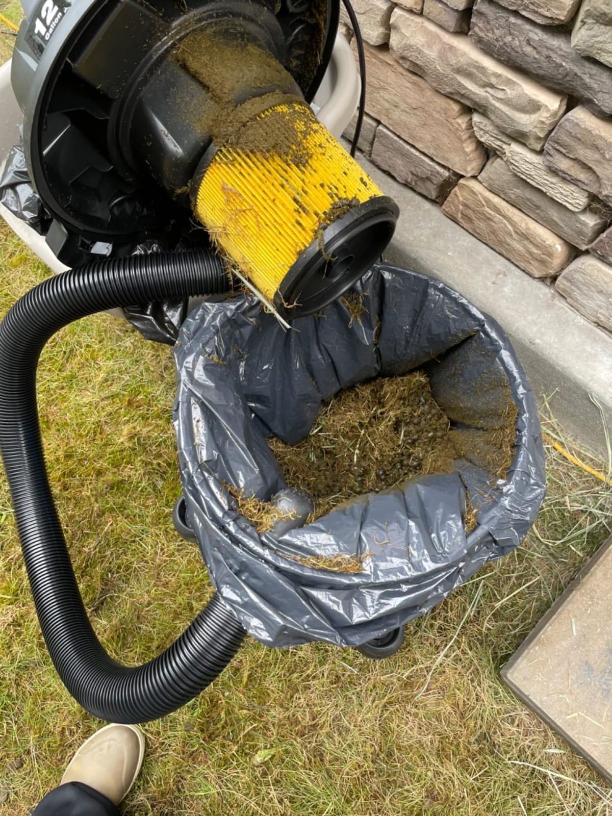 Vacmaster Blue Line 12-Gallon* 5 Peak HP† Wet/Dry Vacuum with Detachable Blower VBV1210 customer photo 2