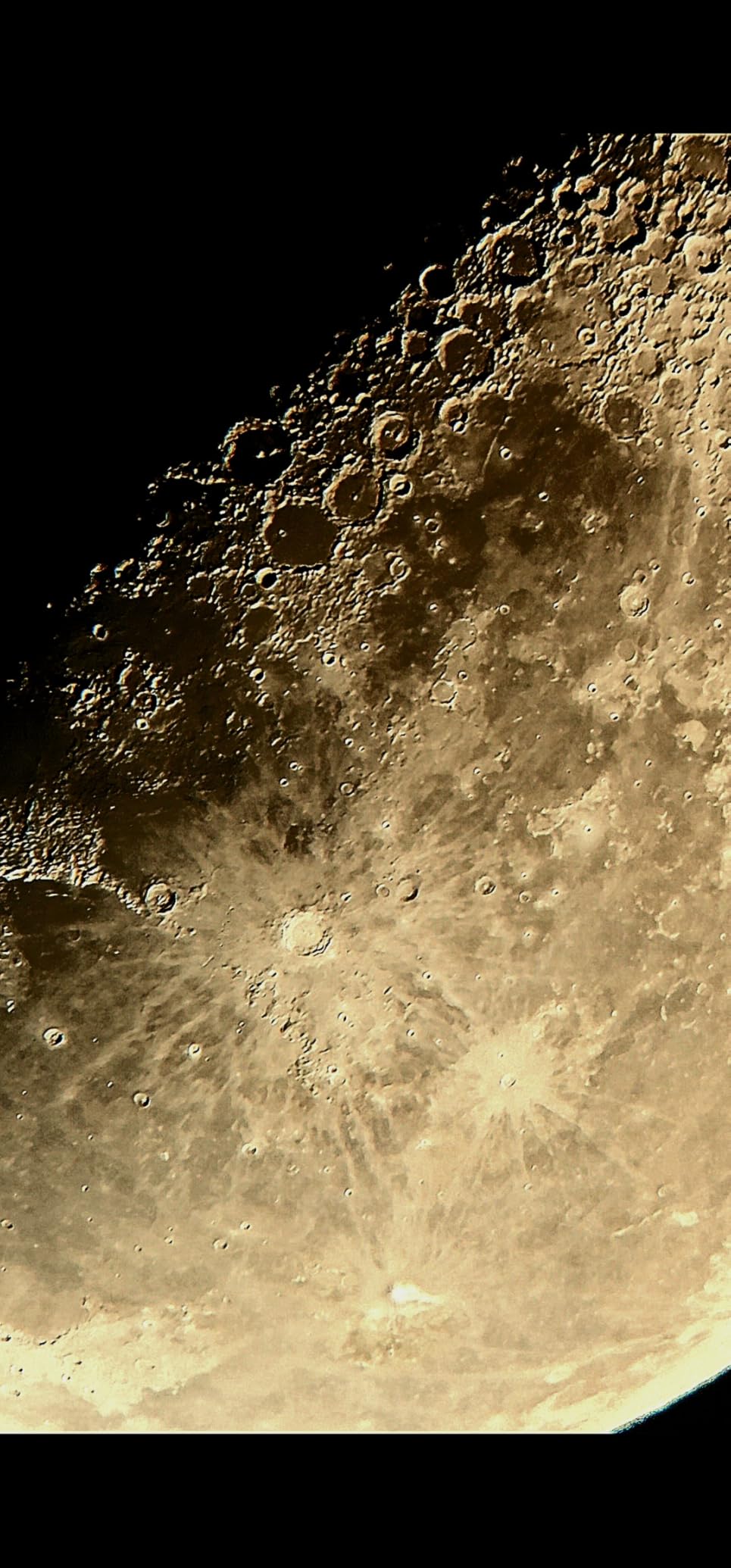 Celestron 114LCM Computerized Reflector Telescope for Beginners customer photo 1