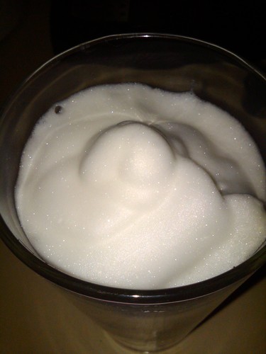 Capresso 202.04 froth PRO Automatic Milk Frother and Hot Chocolate Maker customer photo 1