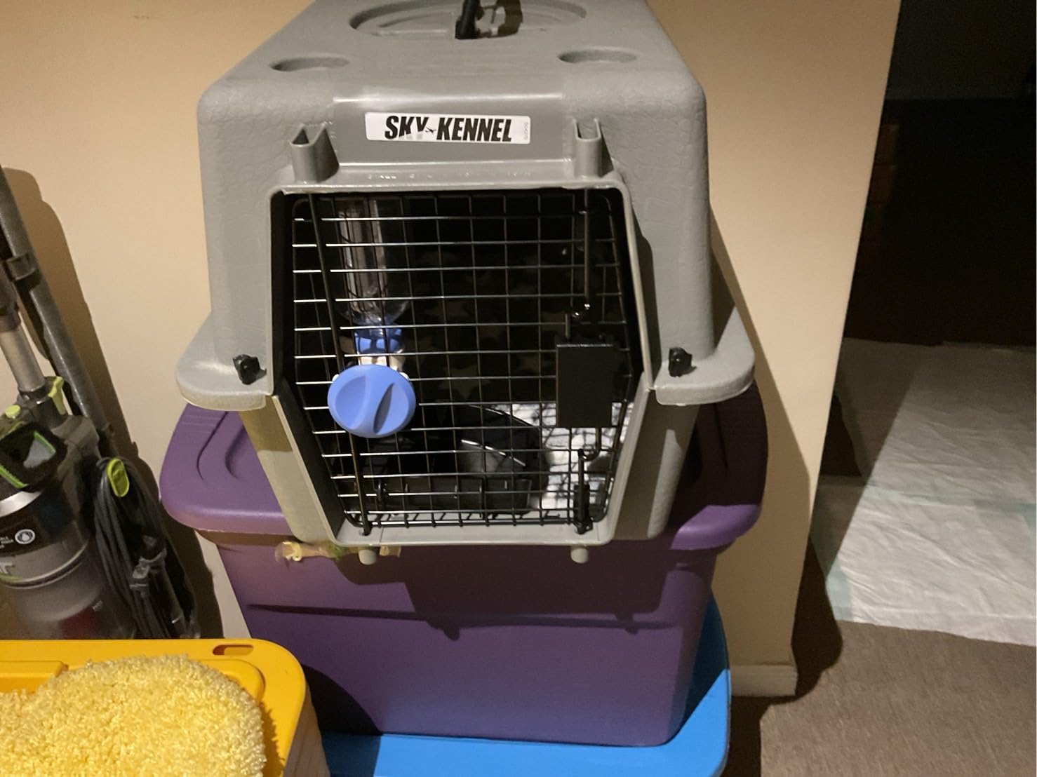 Petmate Sky Kennel for Air Travel, 21in Dog Crate for Pets up to 15lbs customer photo 1