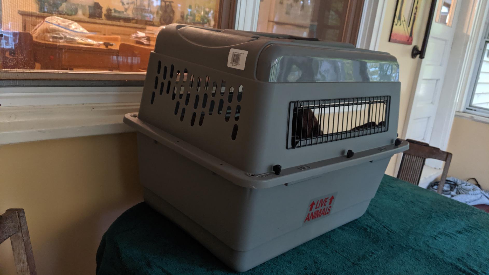 Petmate Sky Kennel for Air Travel, 21in Dog Crate for Pets up to 15lbs customer photo 2
