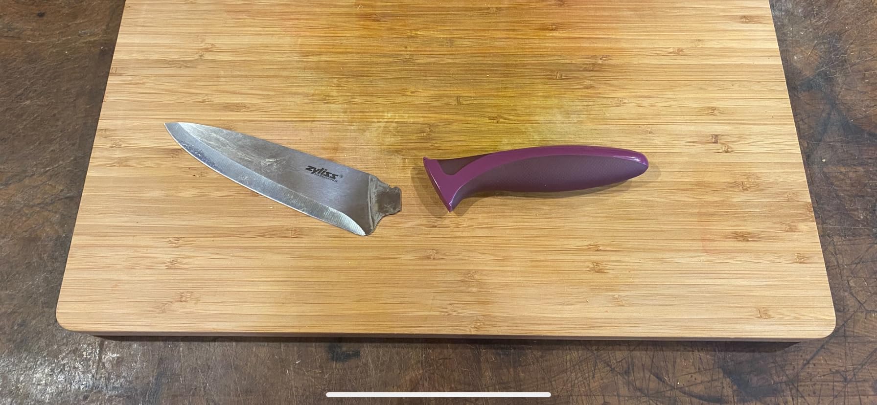 Zyliss Utility Knife with Sheath Cover - Precision Knife for Cutting & Slicing - Paring Knife for Meat, Fruits & Vegetables - Culinary Kitchen Knife - 5.5