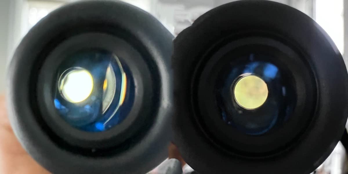 Celestron Outland X 10x42 Binoculars for Wildlife & Hunting customer photo 2