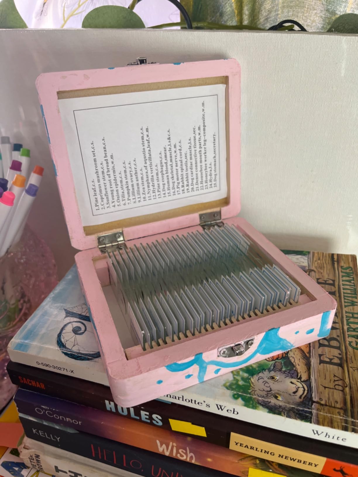 AmScope PS25P Prepared Microscope Slides, Plastic Case, 25pc customer photo 2