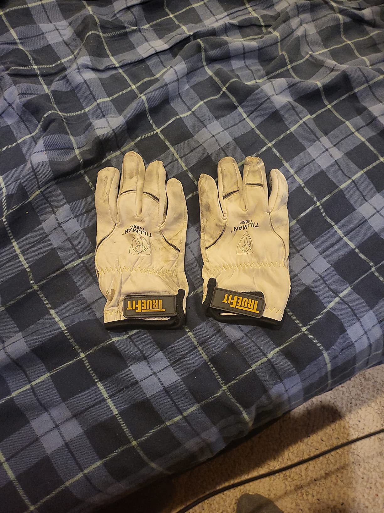 Tillman Medium 11