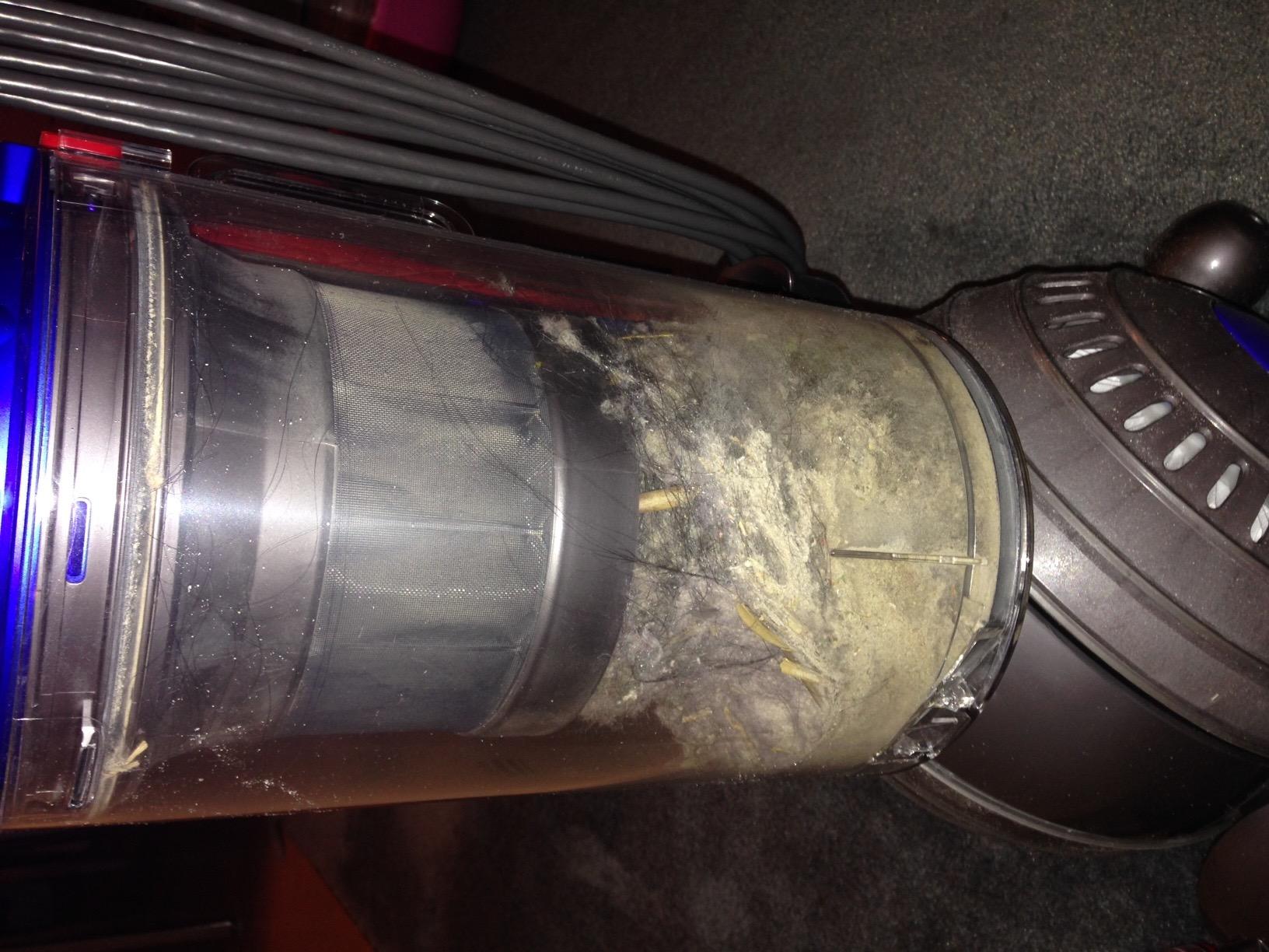 Dyson Ball Allergy Upright Vacuum customer photo 1