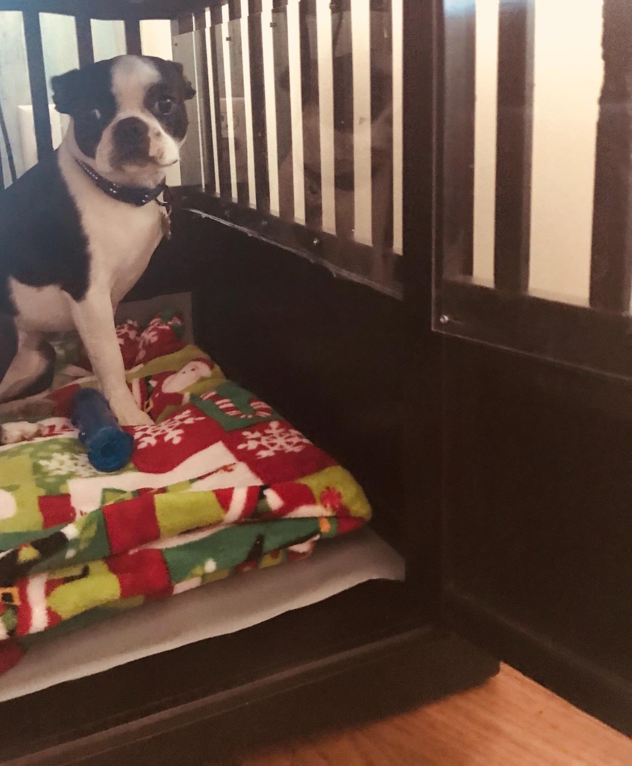 Casual Home Wooden Indoor Dog Crate House Kennel End Table Night Stand Furniture with Lockable Latch for Small to Medium Pets, Black customer photo 2