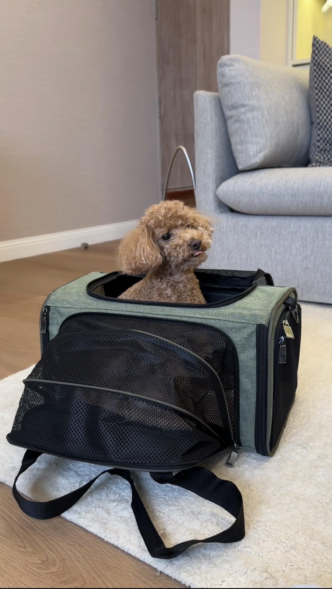 Petsfit Airline Approved Expandable Large Cat Carrier Small Dog Carrier, 17