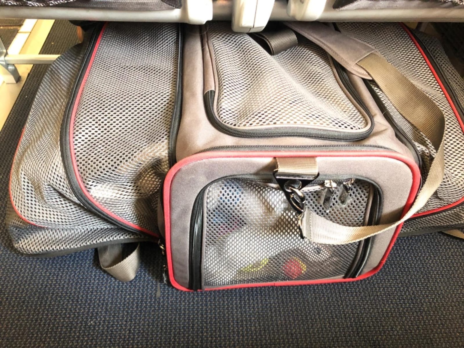 Petsfit Airline Approved Expandable Large Cat Carrier Small Dog Carrier, 17
